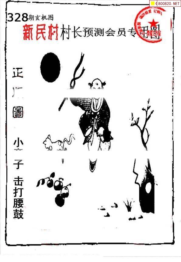 最准确的马报彩图-第1张图片