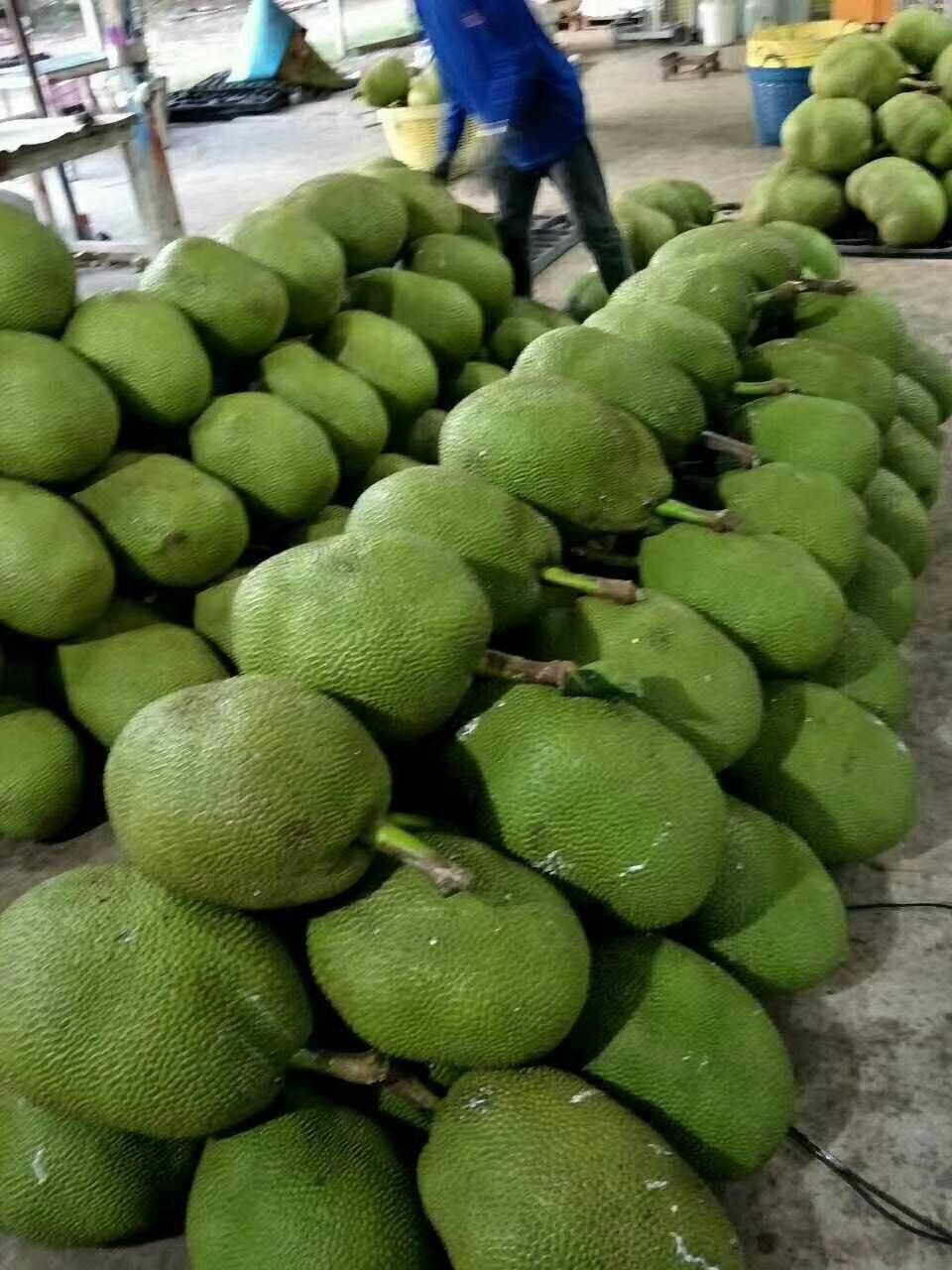 菠萝蜜视频污视频免费观看菠萝蜜视频免费观看，警惕污秽内容-第1张图片