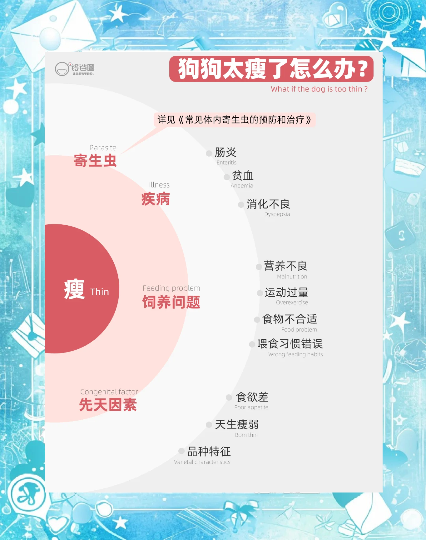 狗狗太长太痛了，困扰与解决方案-第1张图片